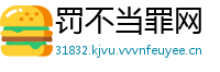 罚不当罪网